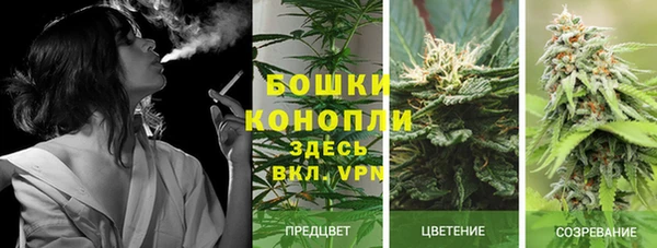 прущие крисы Алексеевка