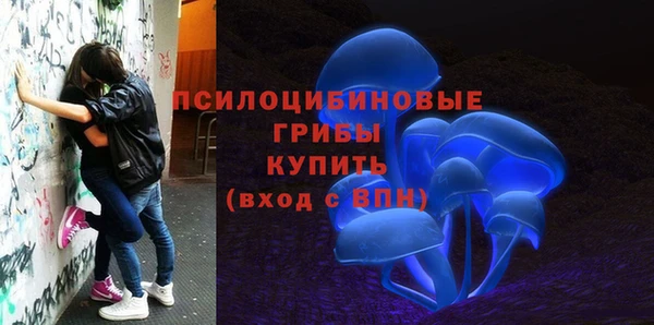 круглые Алексин