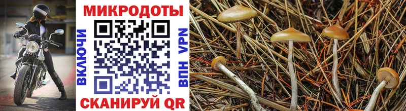 где найти наркотики Ува Галлюциногенные грибы прущие грибы